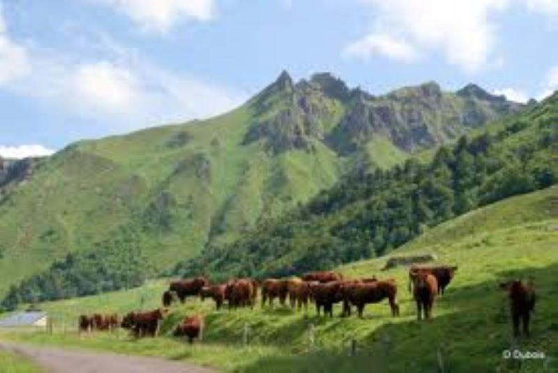 Lilas, Gite Saint Antoine, Orcival, Entre Sancy Et Volcans. מראה חיצוני תמונה